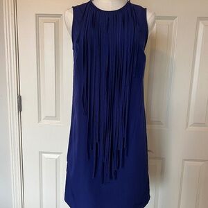 Zara Basic Fringe Dress